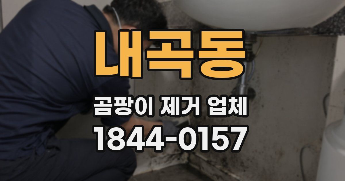 내곡동 곰팡이 제거 업체