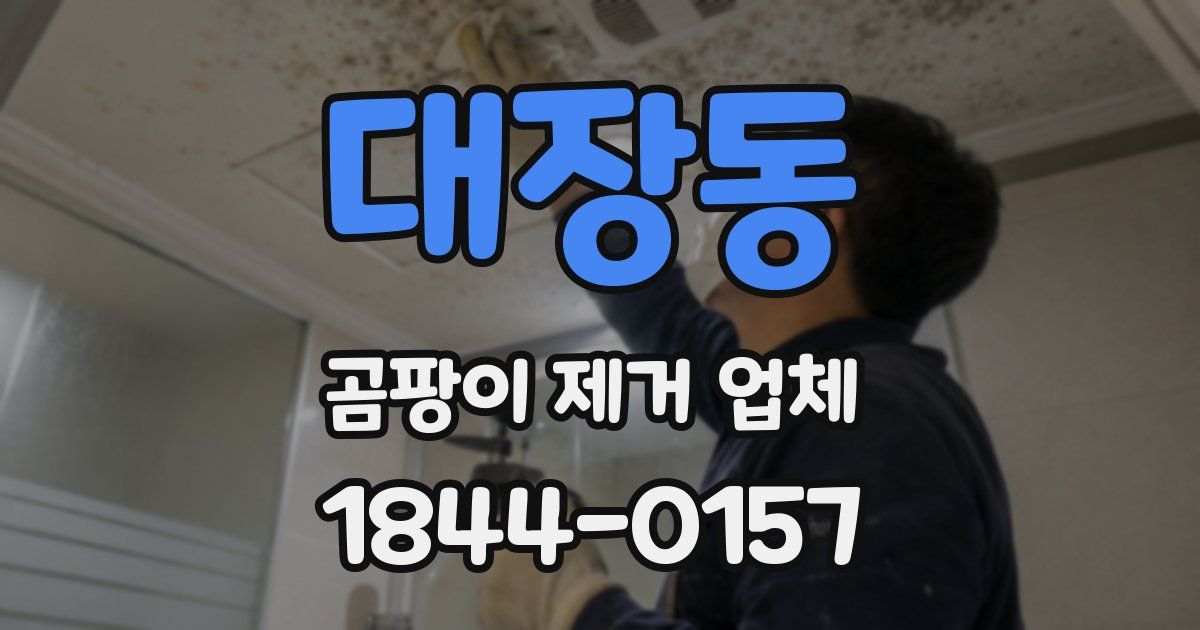 대장동 곰팡이 제거 업체