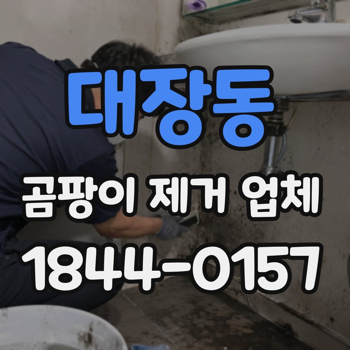 대장동 곰팡이 제거 업체