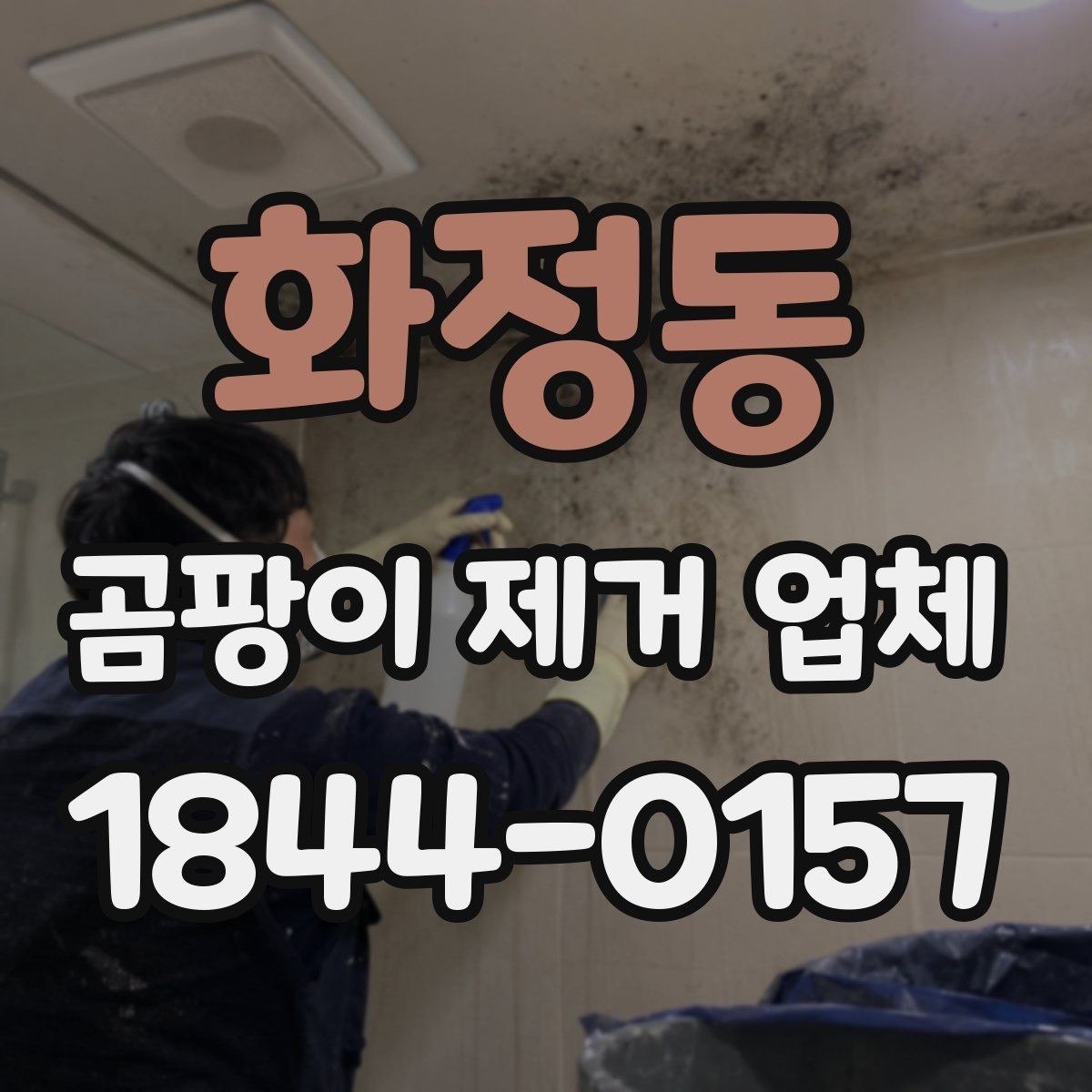 화정동 곰팡이 제거 업체 발코니와 창호 주변 재발 흔적 점검법
