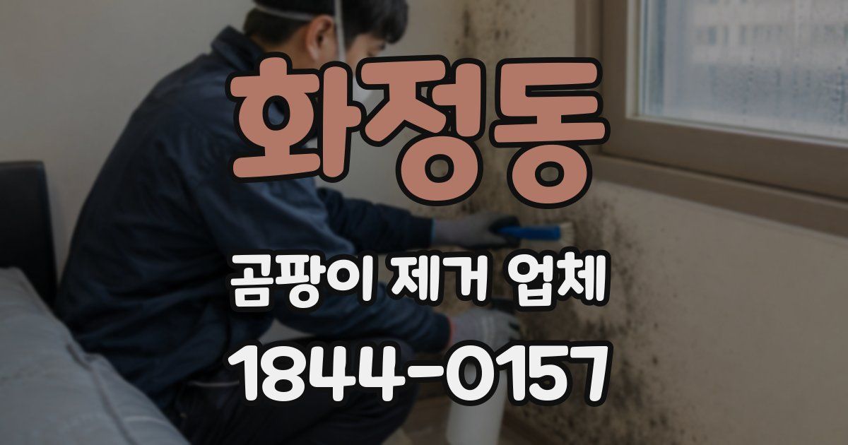 화정동 곰팡이 제거 업체
