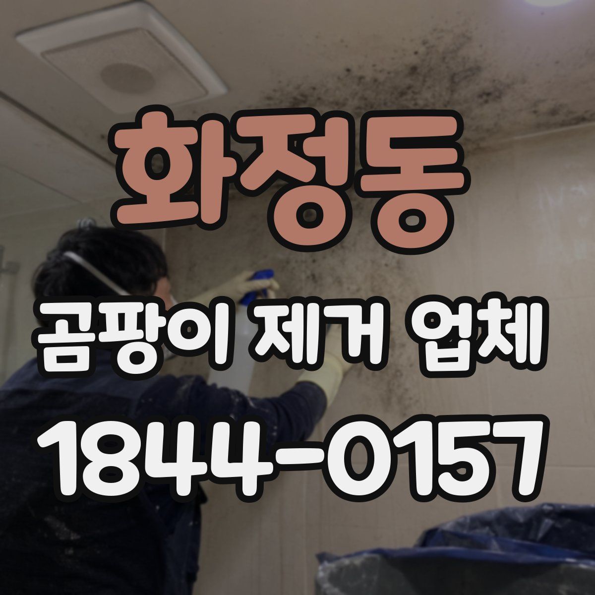 화정동 곰팡이 제거 업체