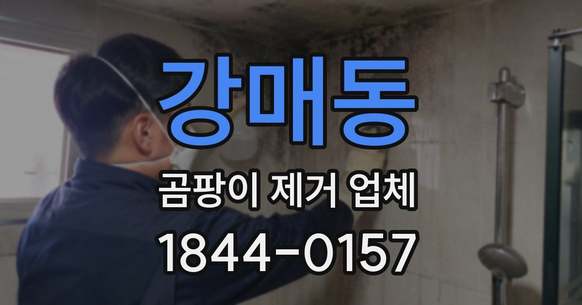 강매동 곰팡이 제거 업체