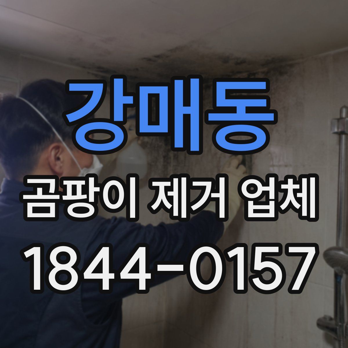 강매동 곰팡이 제거 업체