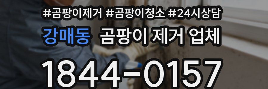 강매동 곰팡이 제거 업체