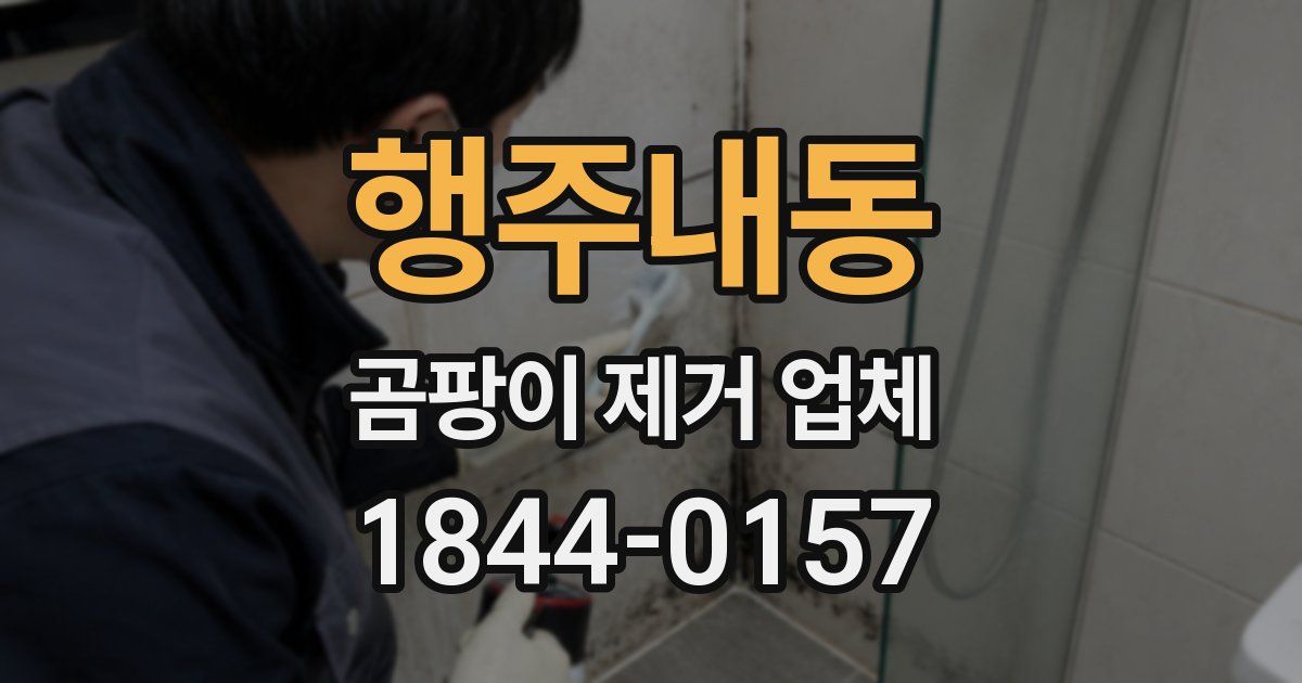 행주내동 곰팡이 제거 업체