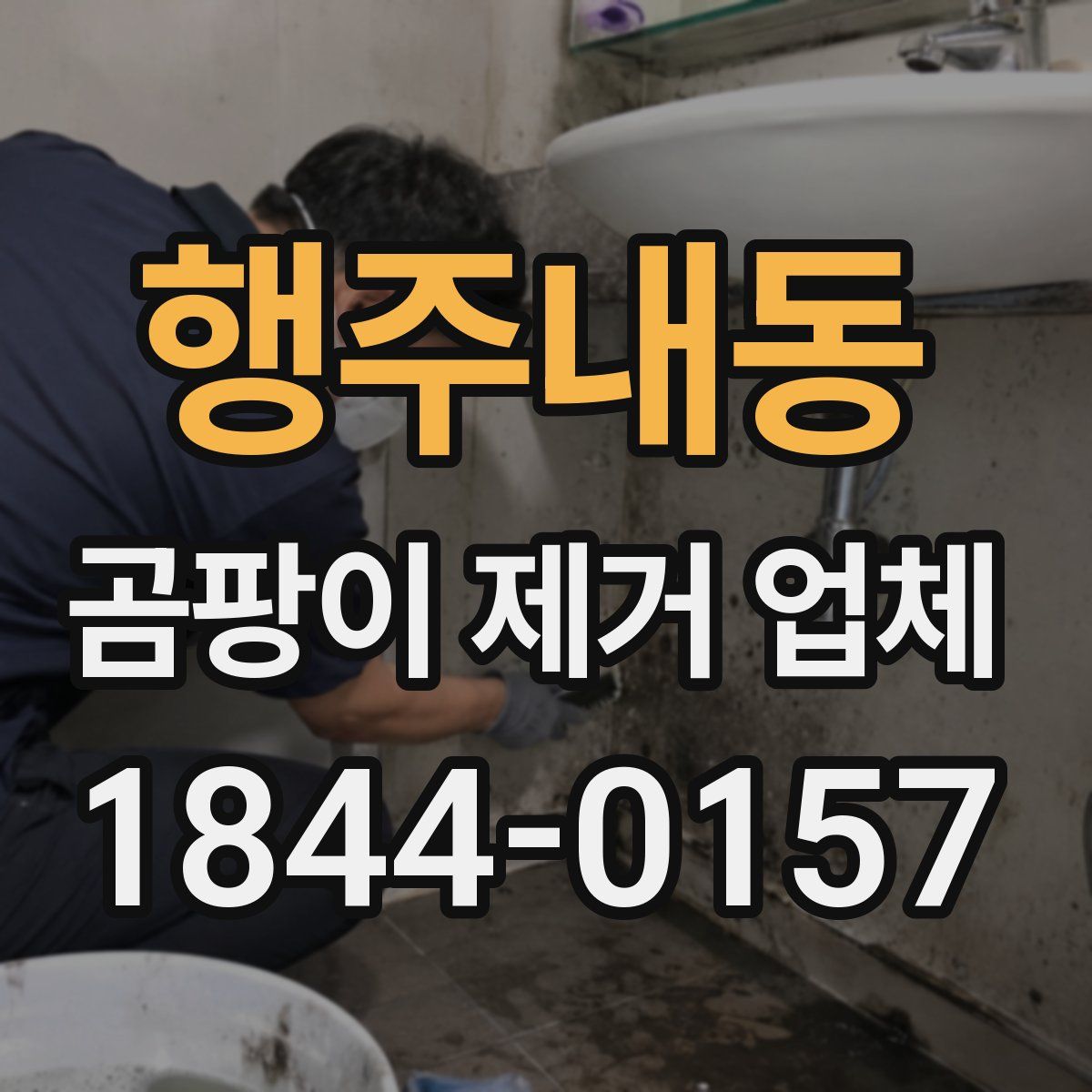 행주내동 곰팡이 제거 업체
