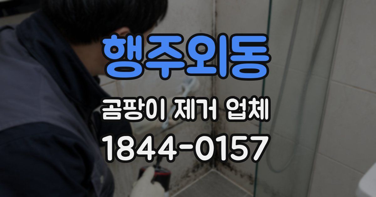 행주외동 곰팡이 제거 업체