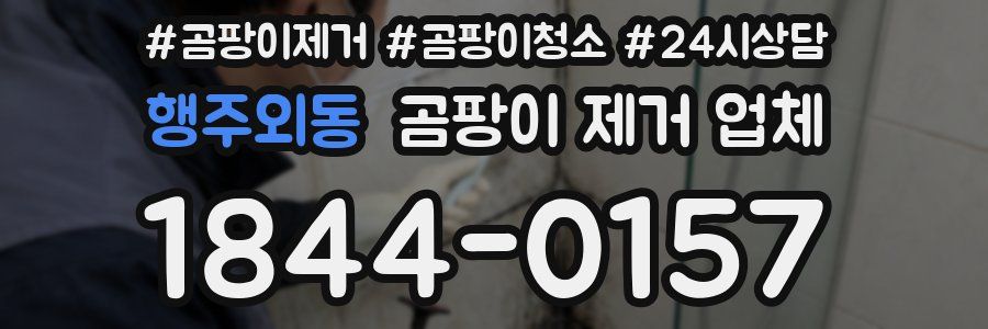 행주외동 곰팡이 제거 업체