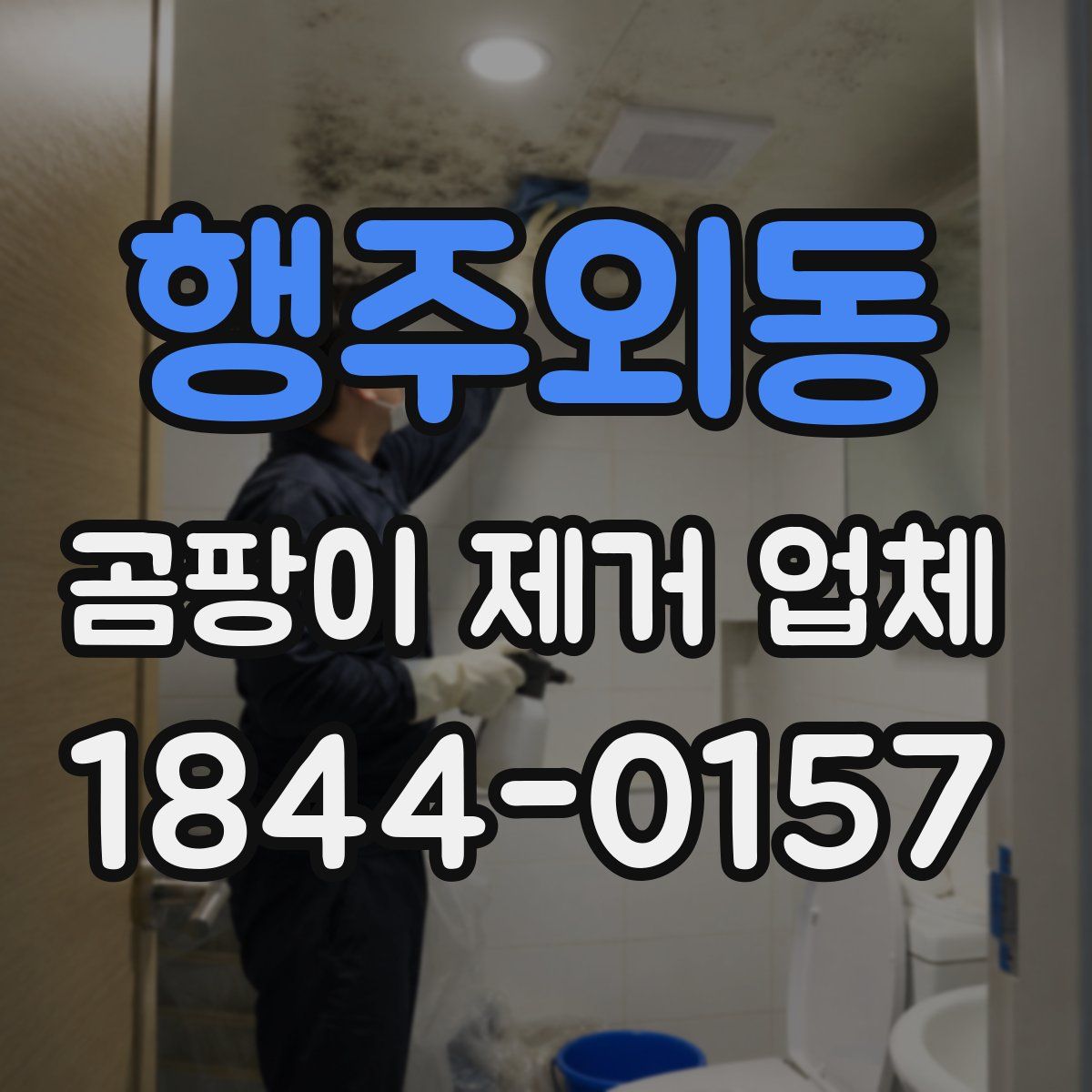 행주외동 곰팡이 제거 업체