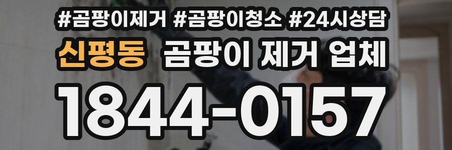 신평동 곰팡이 제거 업체