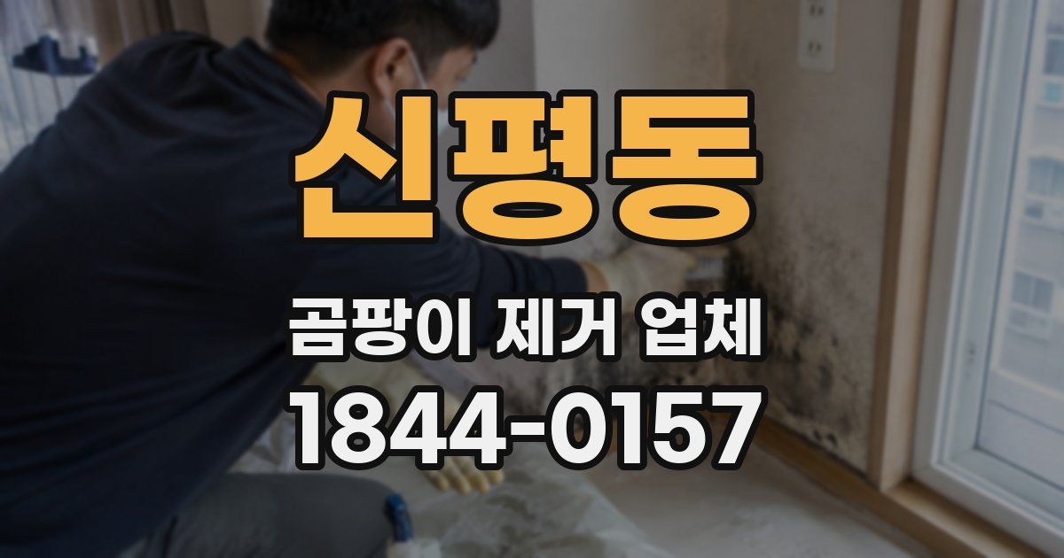 신평동 곰팡이 제거 업체