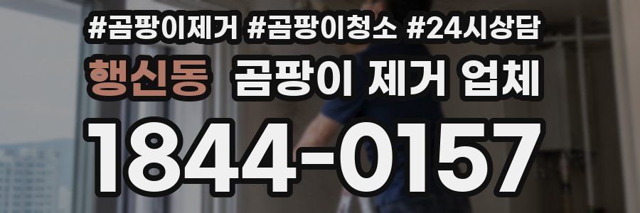 행신동 곰팡이 제거 업체