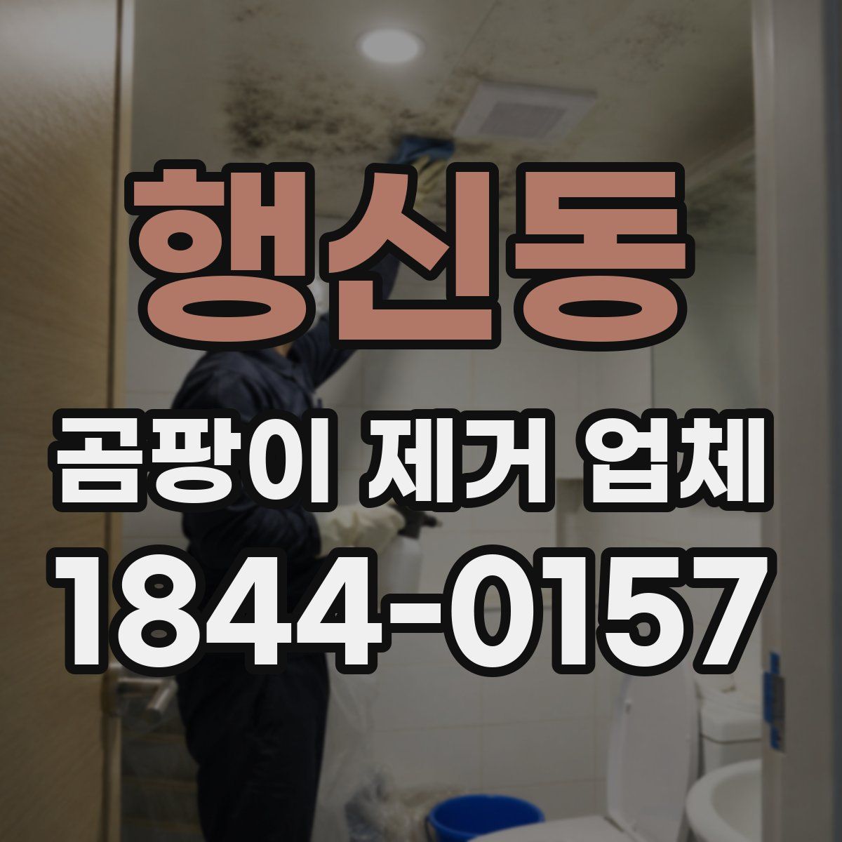행신동 곰팡이 제거 업체