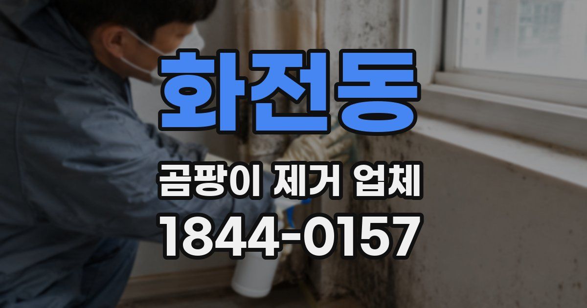 화전동 곰팡이 제거 업체