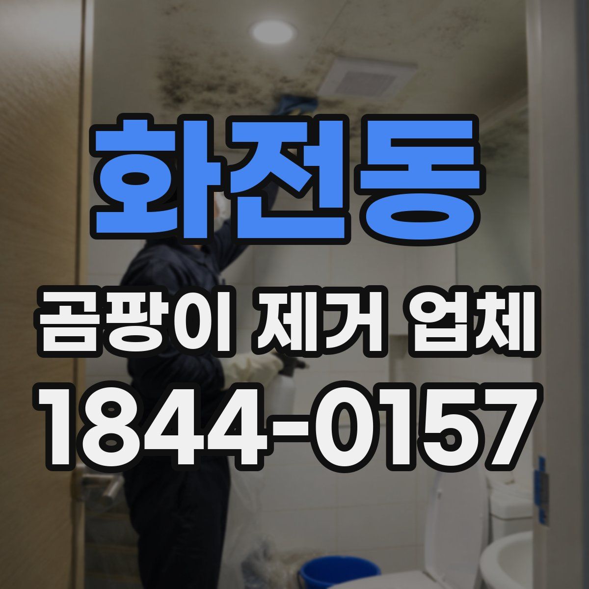 화전동 곰팡이 제거 업체