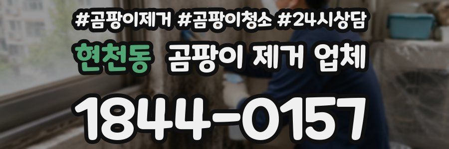 현천동 곰팡이 제거 업체