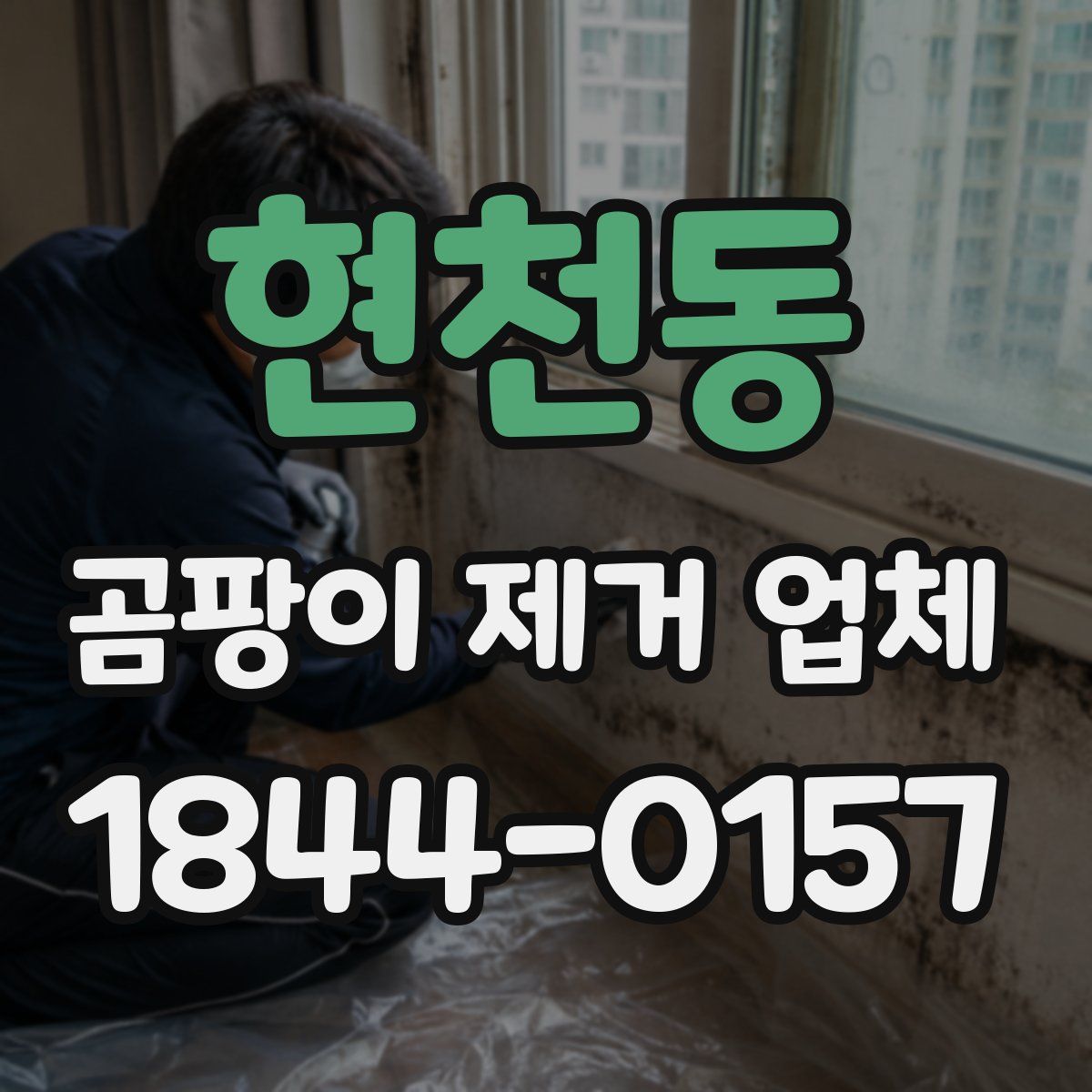 현천동 곰팡이 제거 업체