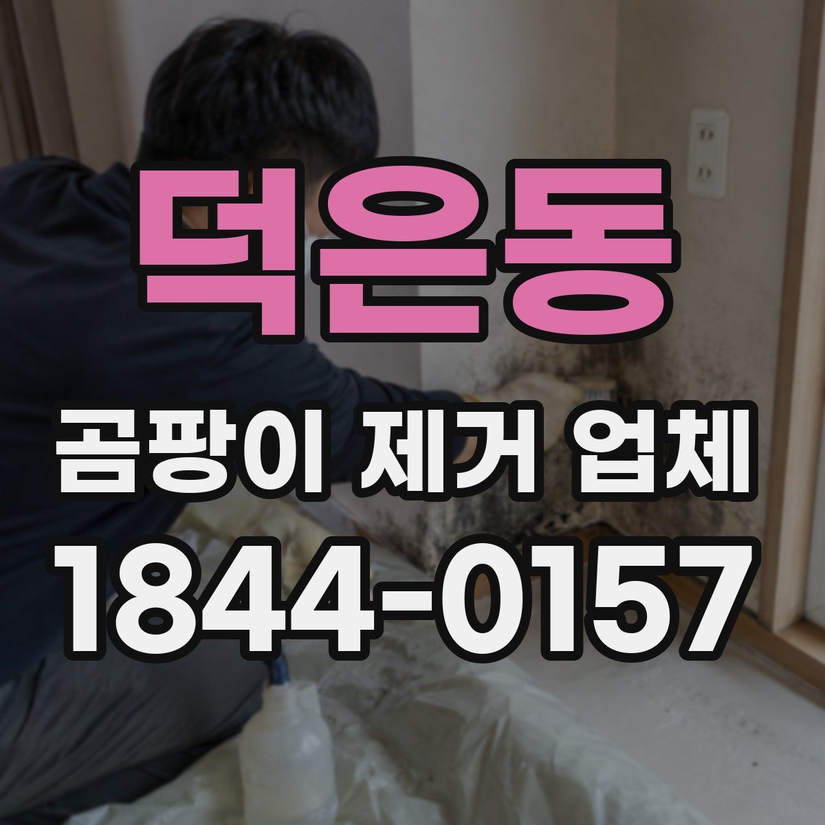 덕은동 곰팡이 제거 업체