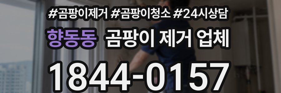 향동동 곰팡이 제거 업체