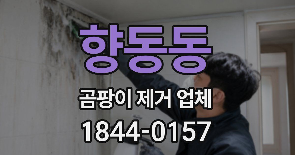향동동 곰팡이 제거 업체