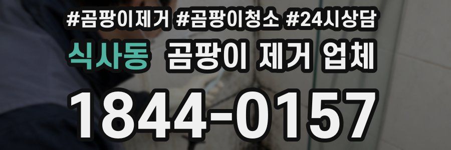 식사동 곰팡이 제거 업체