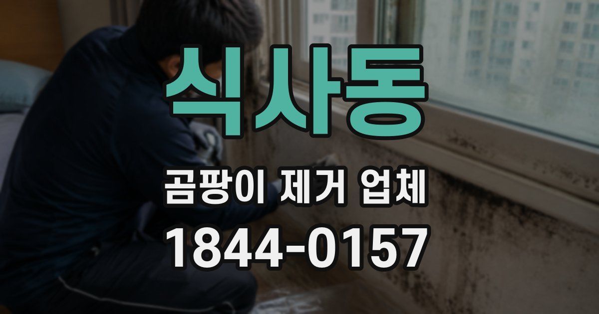 식사동 곰팡이 제거 업체