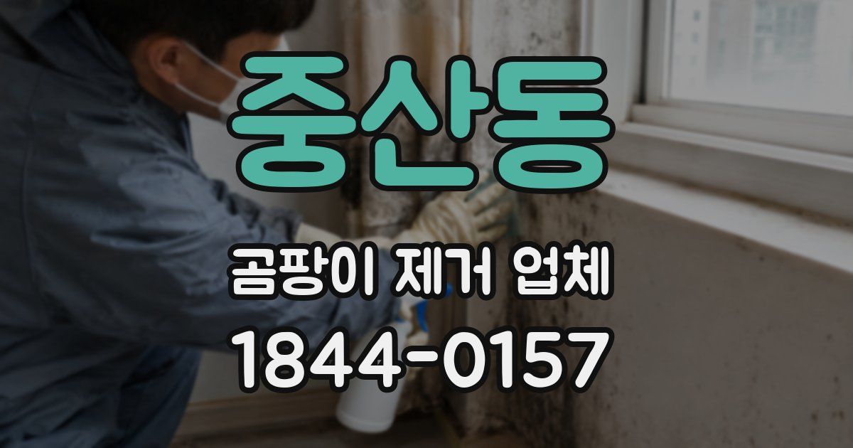 중산동 곰팡이 제거 업체