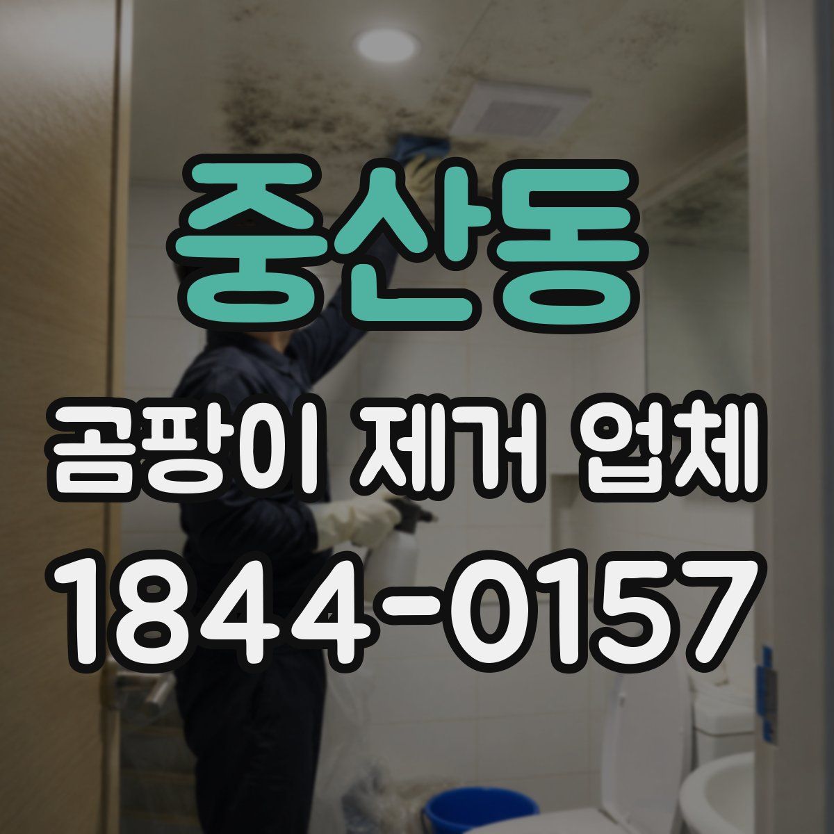 중산동 곰팡이 제거 업체