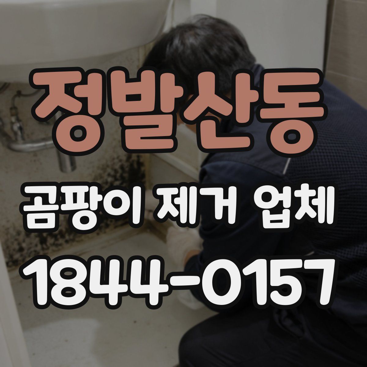 정발산동 곰팡이 제거 업체