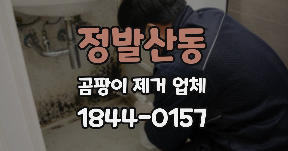 정발산동 곰팡이 제거 업체