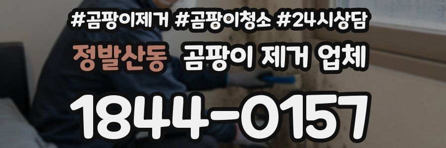 정발산동 곰팡이 제거 업체