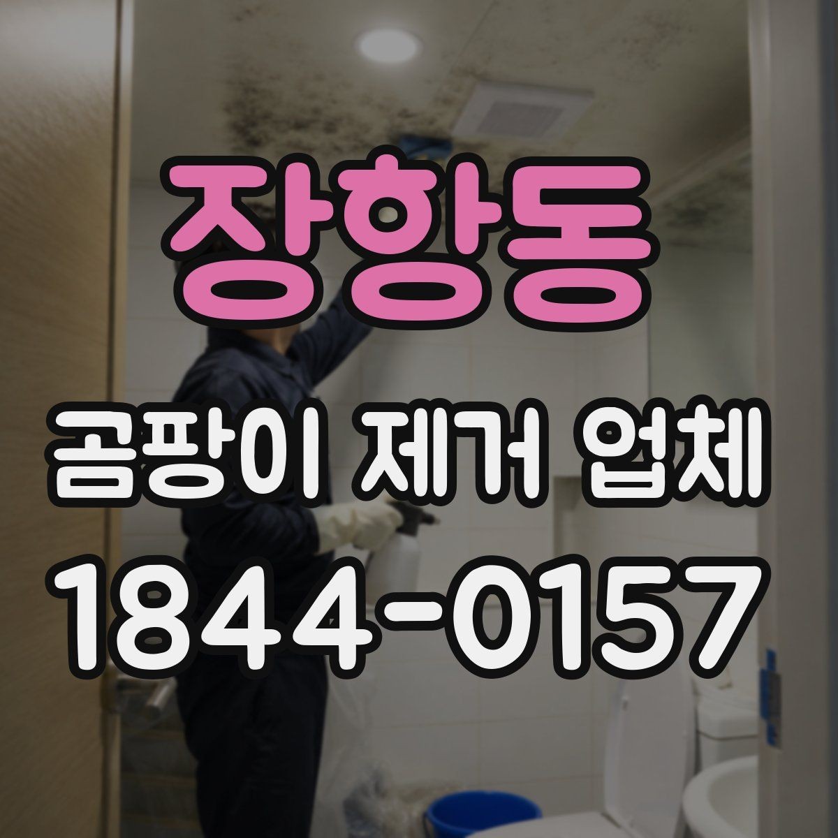 장항동 곰팡이 제거 업체 환기 부족으로 생긴 오염 점검 방법