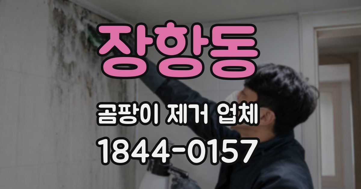 장항동 곰팡이 제거 업체