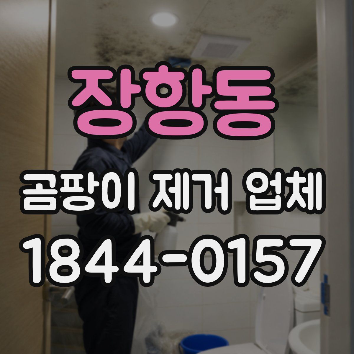 장항동 곰팡이 제거 업체