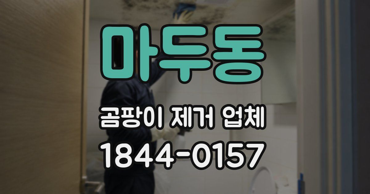 마두동 곰팡이 제거 업체