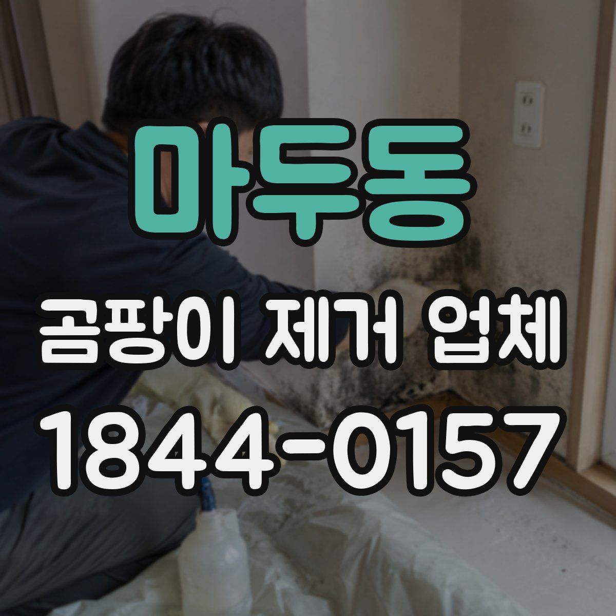 마두동 곰팡이 제거 업체