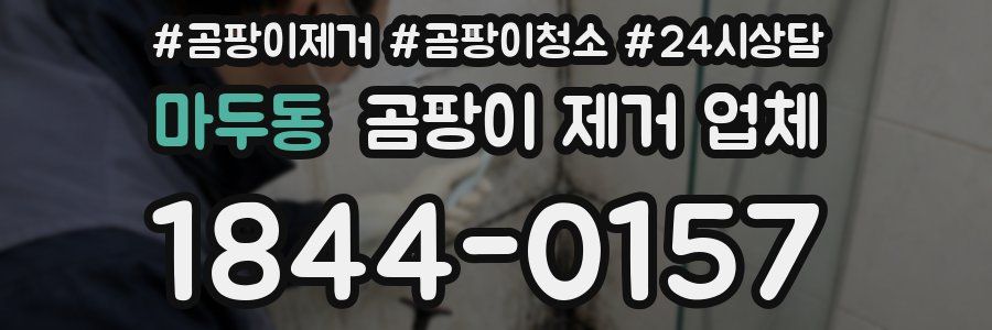 마두동 곰팡이 제거 업체