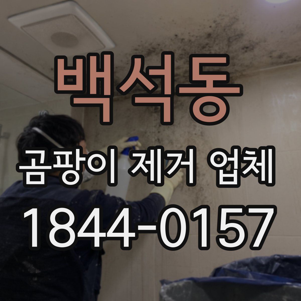백석동 곰팡이 제거 업체