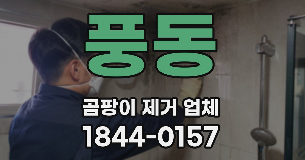 풍동 곰팡이 제거 업체
