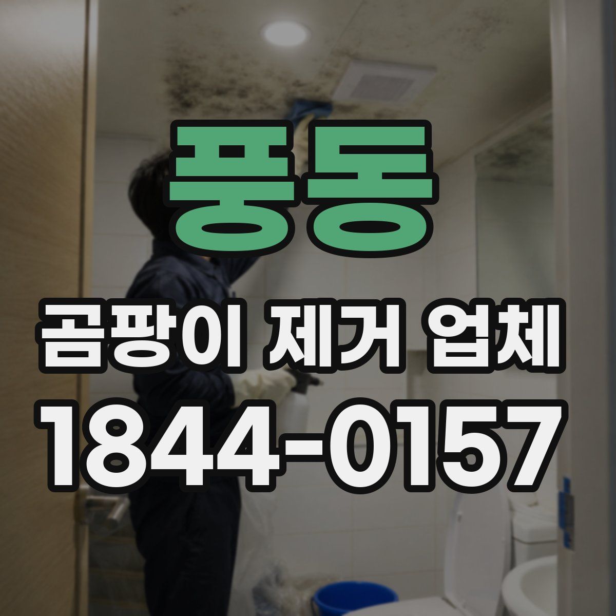 풍동 곰팡이 제거 업체