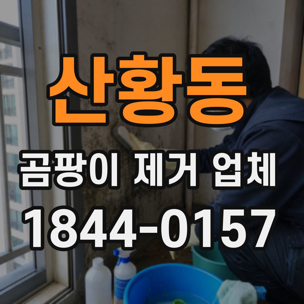 산황동 곰팡이 제거 업체
