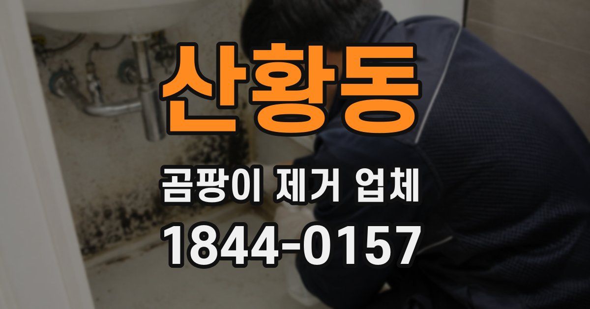 산황동 곰팡이 제거 업체