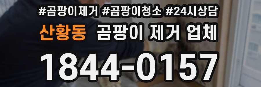 산황동 곰팡이 제거 업체
