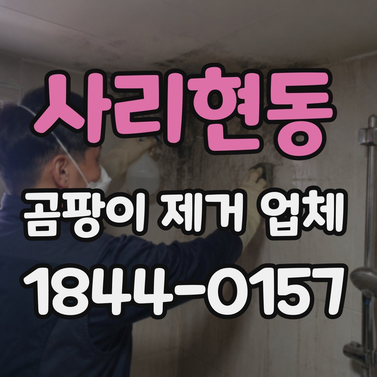 사리현동 곰팡이 제거 업체