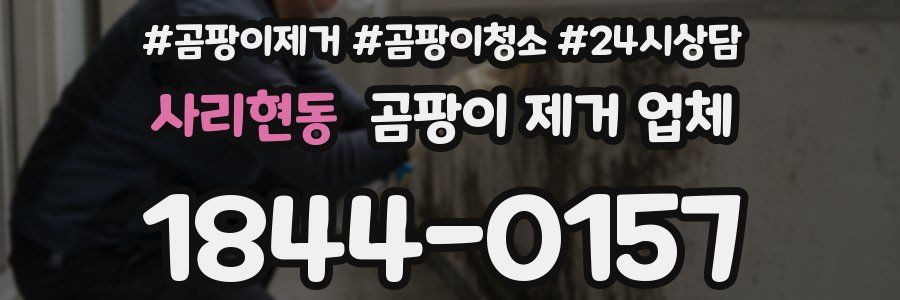 사리현동 곰팡이 제거 업체