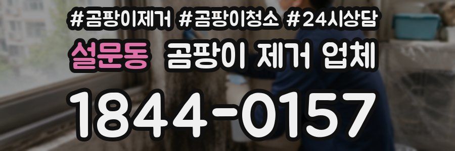 설문동 곰팡이 제거 업체