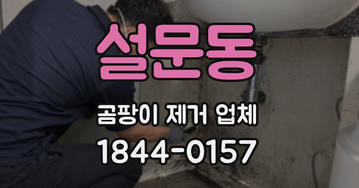 설문동 곰팡이 제거 업체