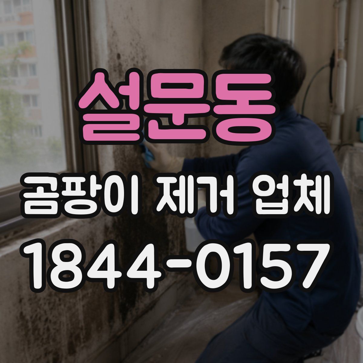 설문동 곰팡이 제거 업체