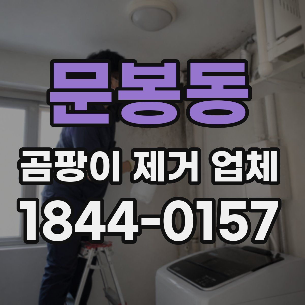 문봉동 곰팡이 제거 업체